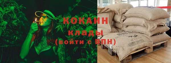 стаф Абинск