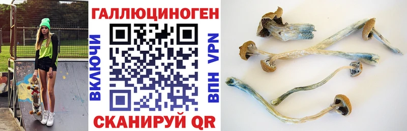 Псилоцибиновые грибы мицелий  купить закладку  Белая Калитва 